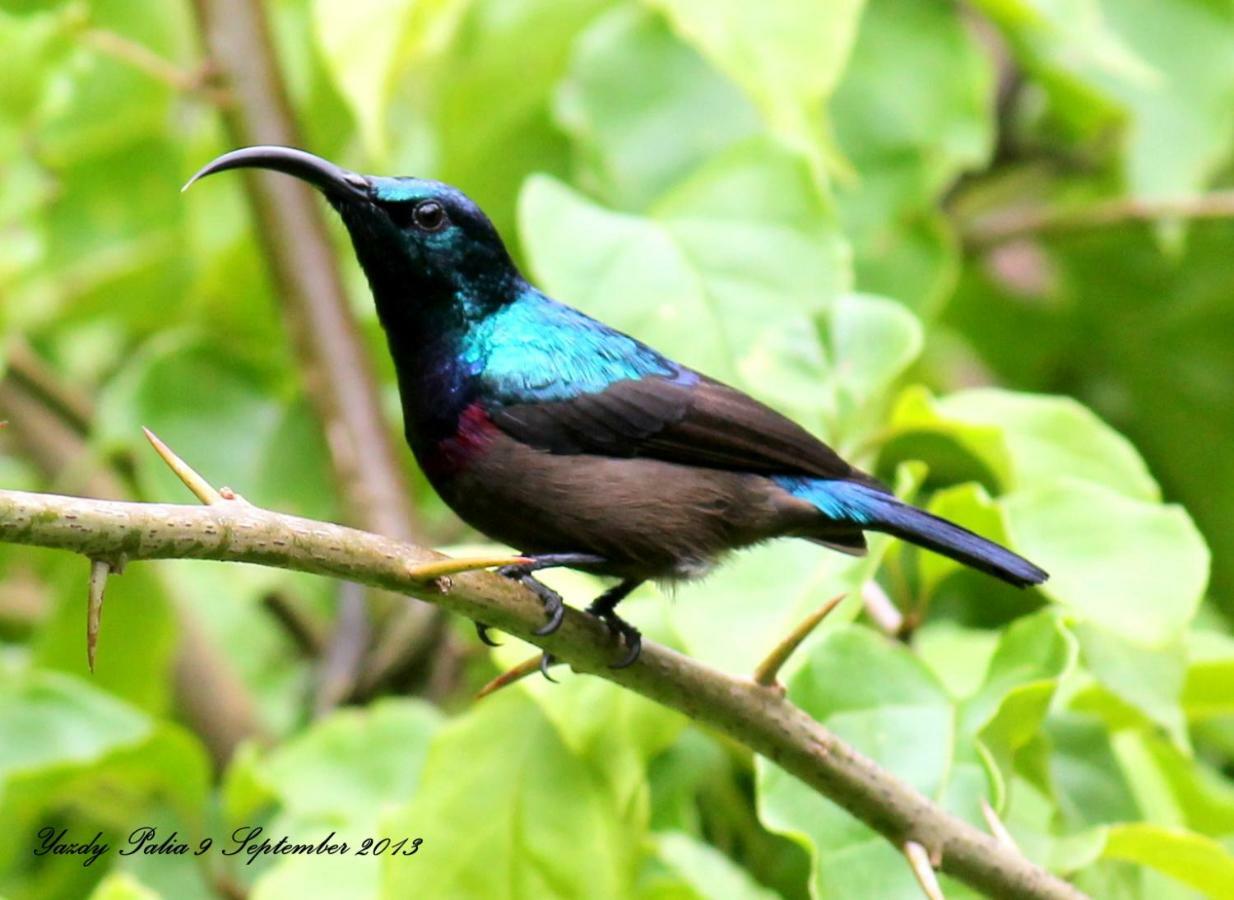 Woodside Homestay Wayanad Batheri Экстерьер фото